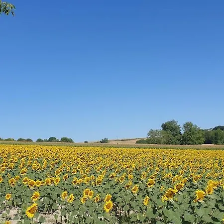 בית נופש Le Petit Verger