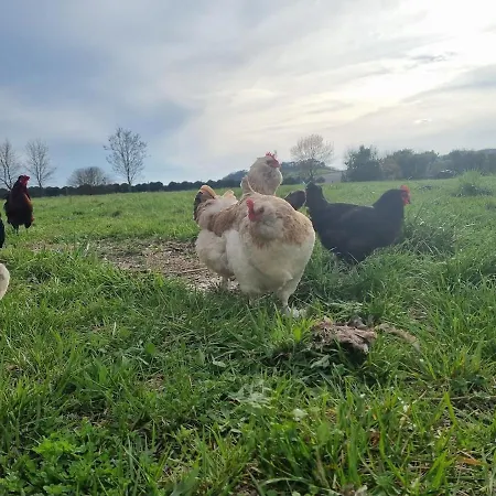 בית נופש Le Petit Verger *