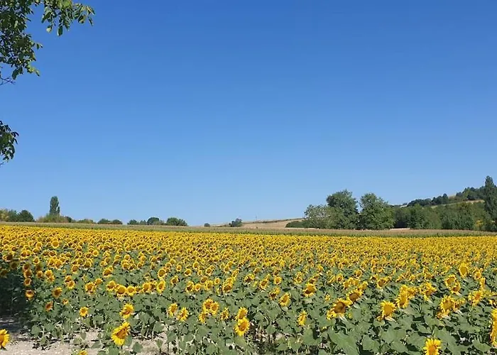 Tatil Evi Le Petit Verger