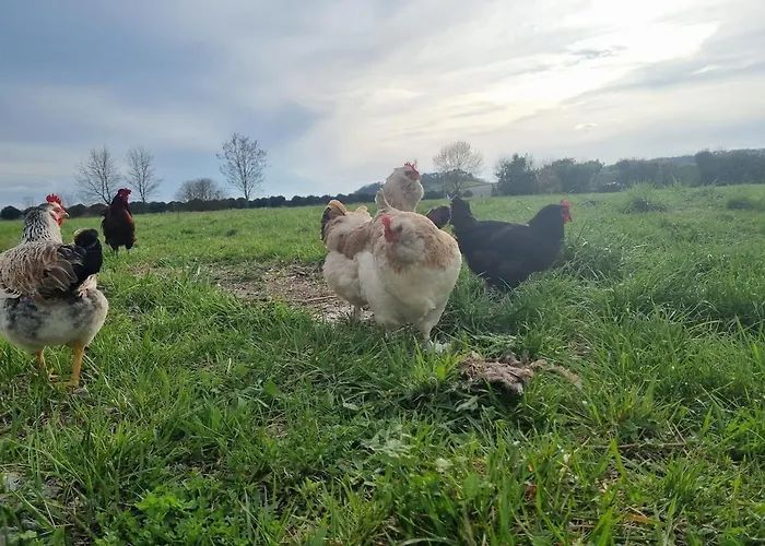 Tatil Evi Le Petit Verger *